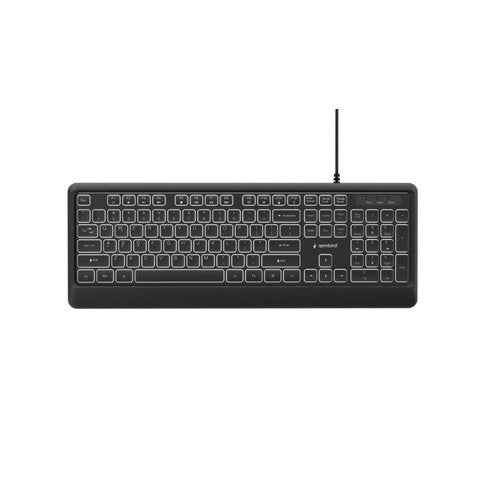 Slimline bedraad toetsenbord met achtergrondverlichting, zwart, US layout